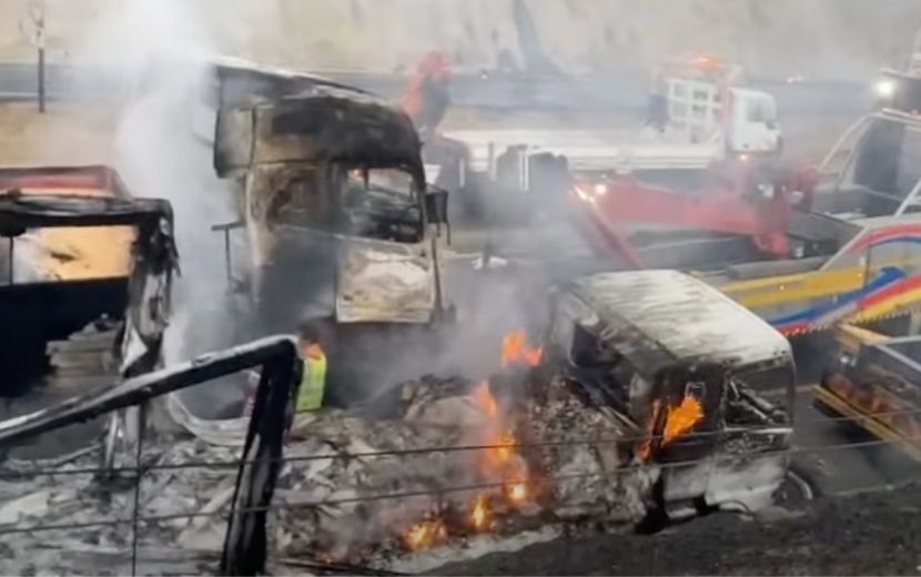 Food security, riots – Why SA needs to restore stability urgently