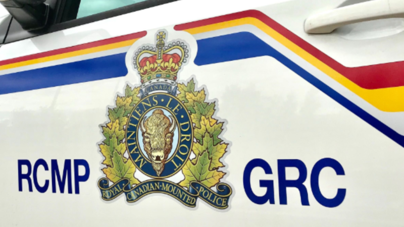 CRA scam: Fraud charges approved against former Burnaby resident who fled Canada