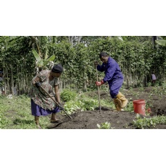 Papua New Guinea Holds Consultations on New Biosecurity Policy