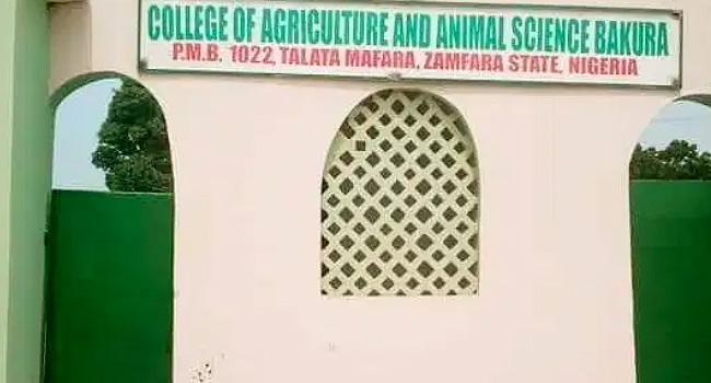 Gunmen Abduct Students In Zamfara College, Kill Security Personnel