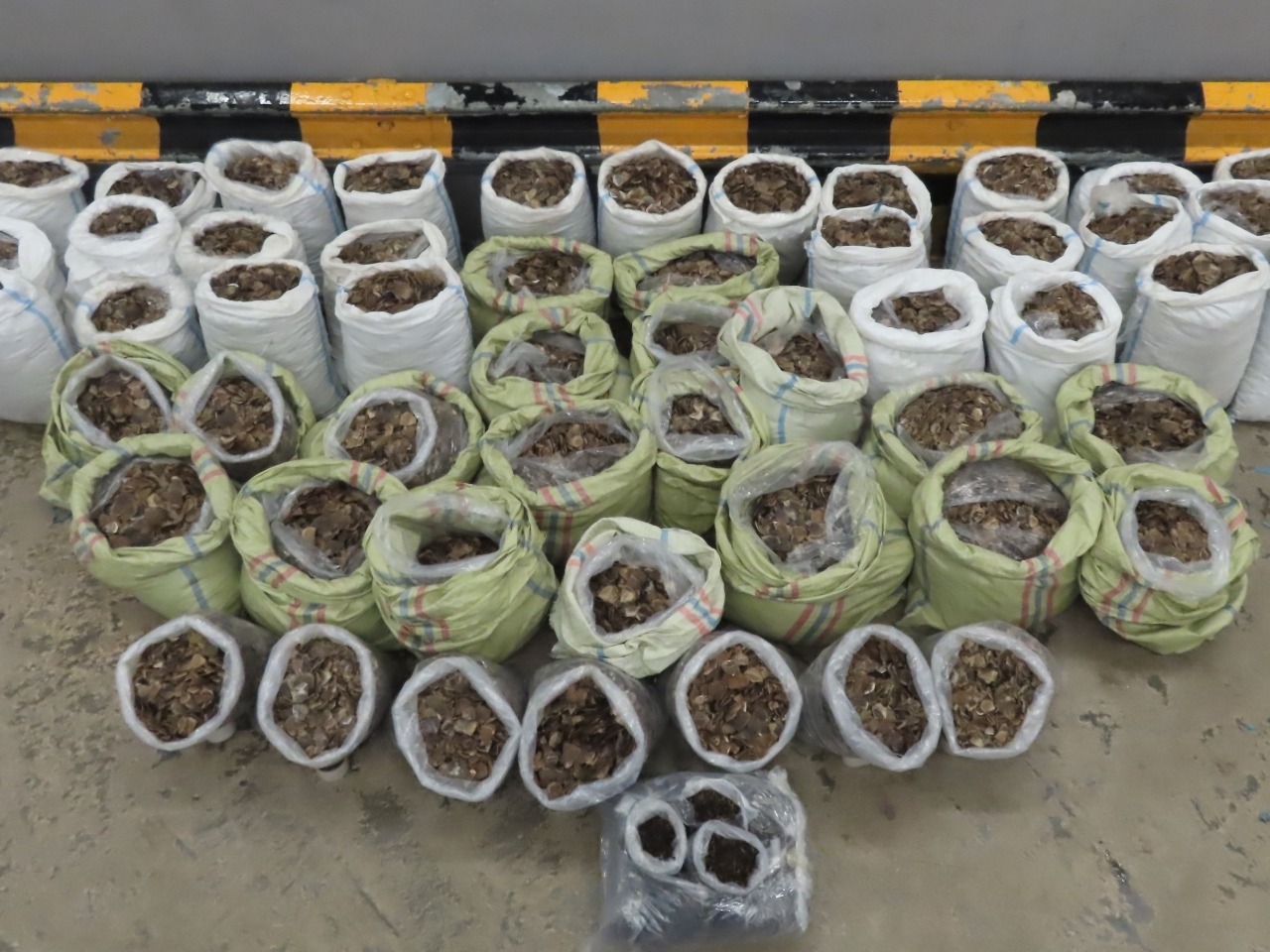 Wildlife trafficking included as organised crime