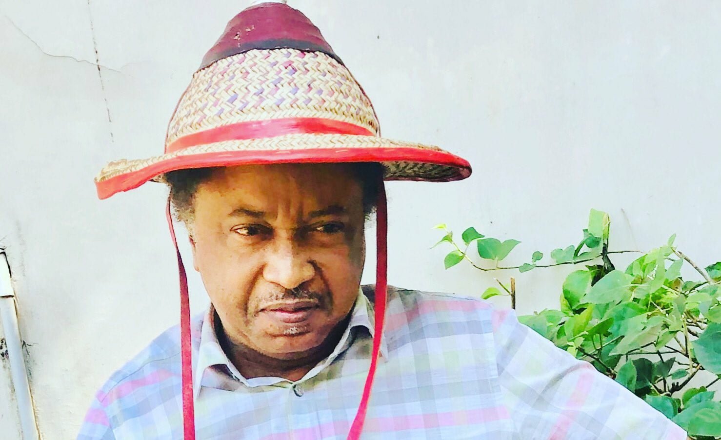 Banditry: FG, security agencies have failed – Shehu Sani reacts to Masari’s comment