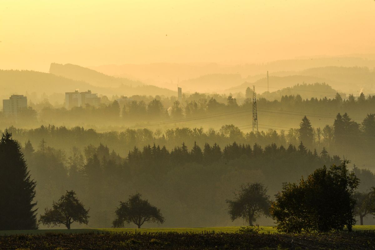 Money Stuff: ESG Accounting Requires Accountants
