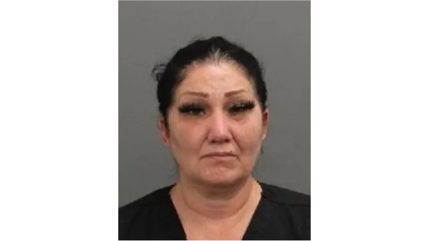 Alleged nurse impersonator charged by Ottawa police has history of similar crimes