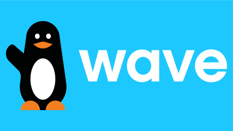 How Wave became Francophone Africa’s first unicorn startup with 1% money transfer fee