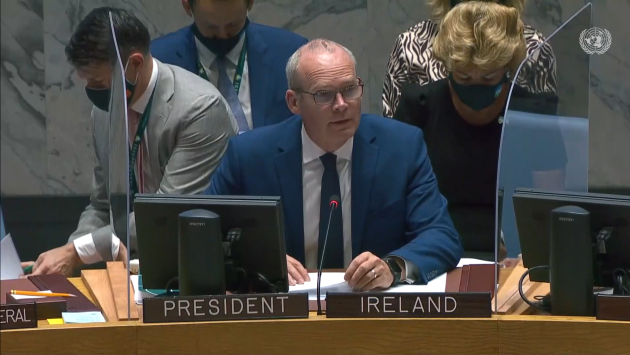 ‘We need enormous effort’: Coveney leads UN Security Council meeting on Afghanistan in New York