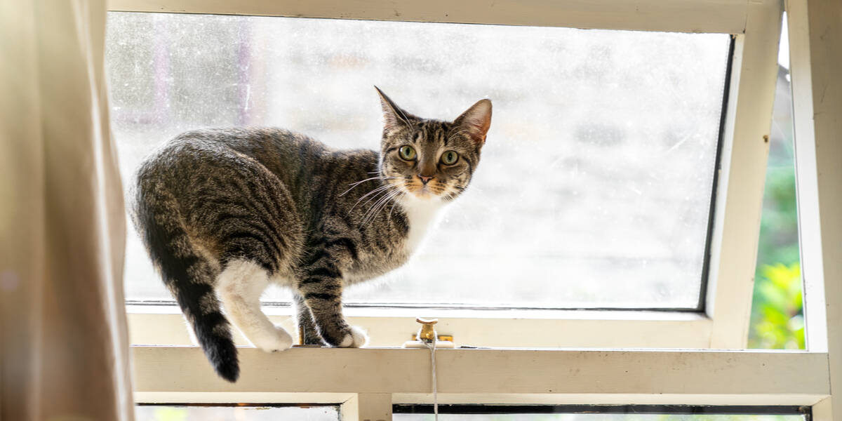 Hey – how did you get in here? Number one app security weakness of 2021 was borked access control, says OWASP