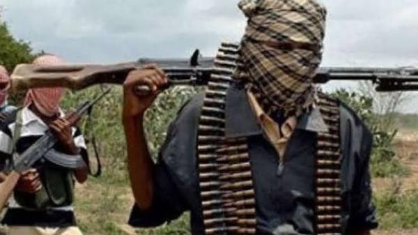 Insecurity: FG is duty-bound to reintegrate bandits, kidnappers who surrender — Buhari’s Minister