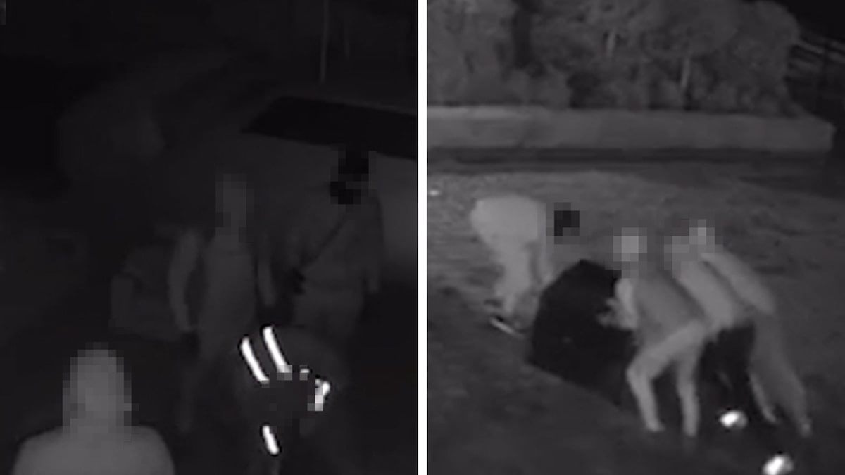 Soccer Star Reece James Says He Caught Terrifying Home Burglary On Security Video