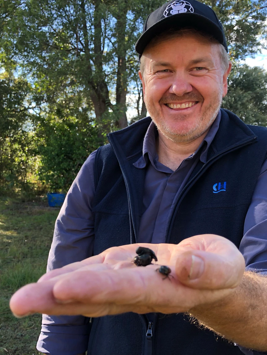Save the dung beetles, help the planet and make some money, farmers told