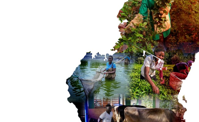 Kenya: Summit Aims to Address Food, Nutrition Security ‘in Covid Times’