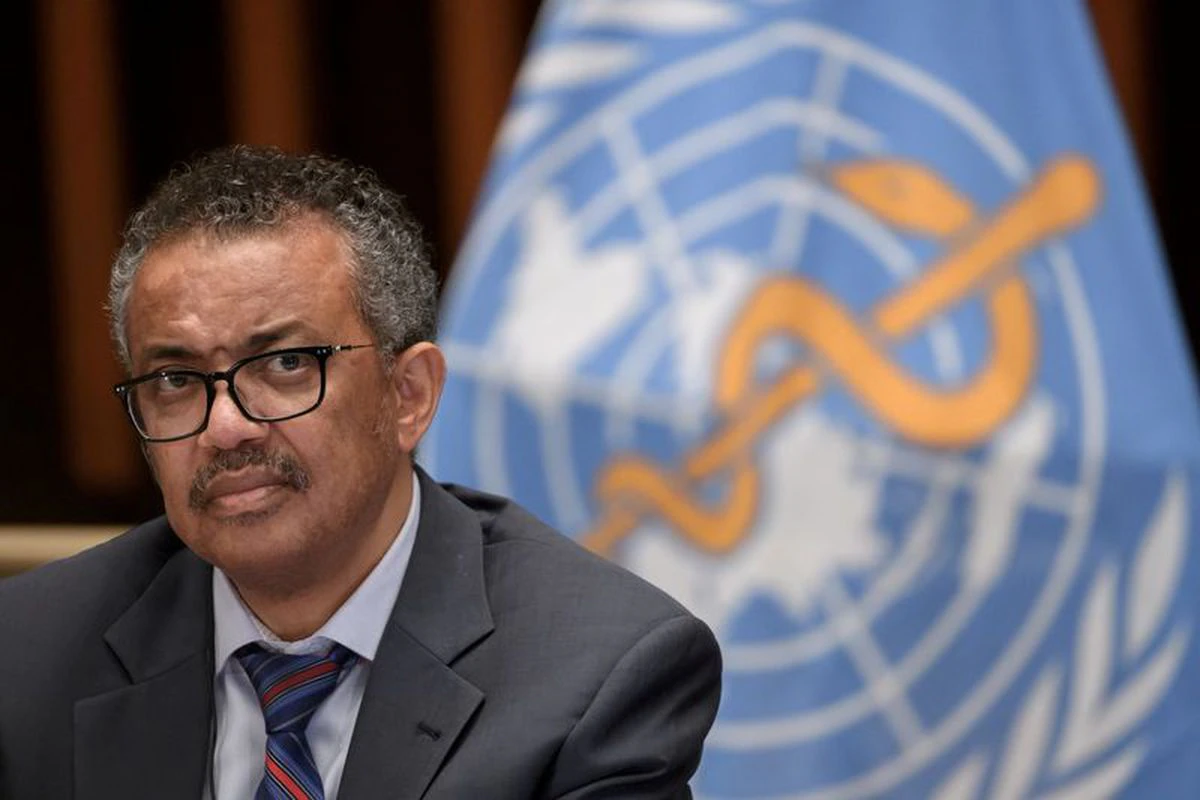 WHO employees perpetrated sexual crimes in Democratic Republic of the Congo during Ebola outbreak, report alleges