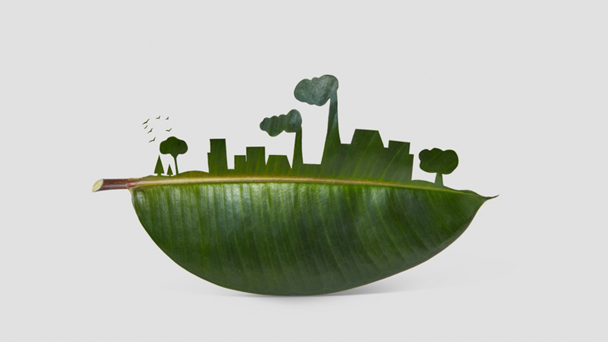 Carbon Might Be Your Company’s Biggest Financial Liability