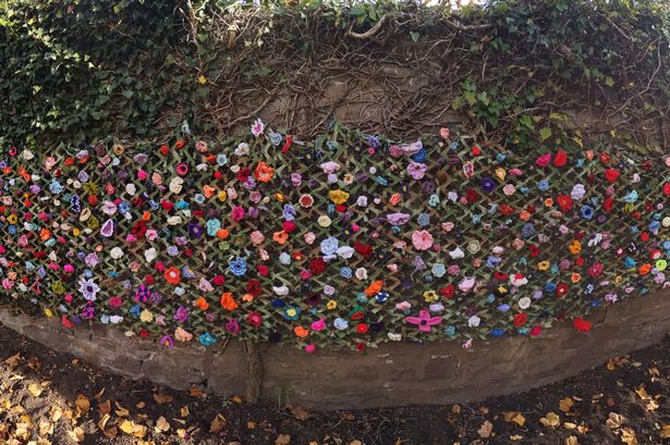 Flower wall in Welsh village hailed as ‘giving Banksy a run for his money’