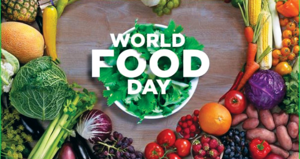 Food security major objective of Saudi Vision 2030