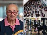 Schumer: Use DOGS to keep airport security lines moving if vaccination rule creates staff shortage