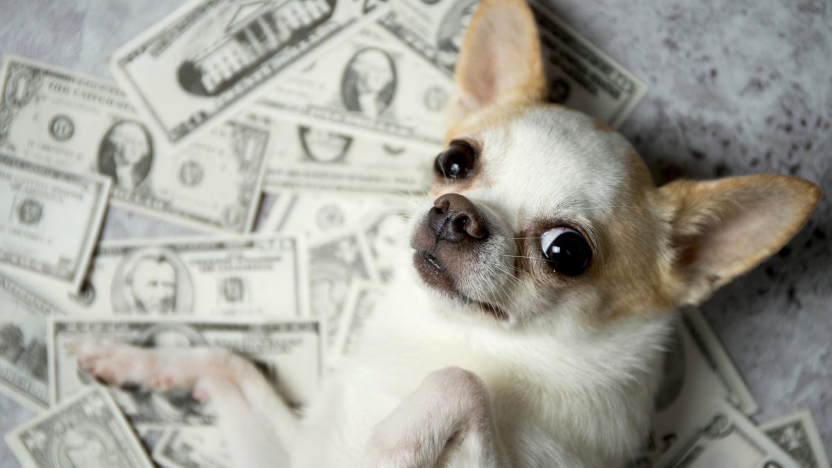 How to Save Money Like a ‘Super Saver’