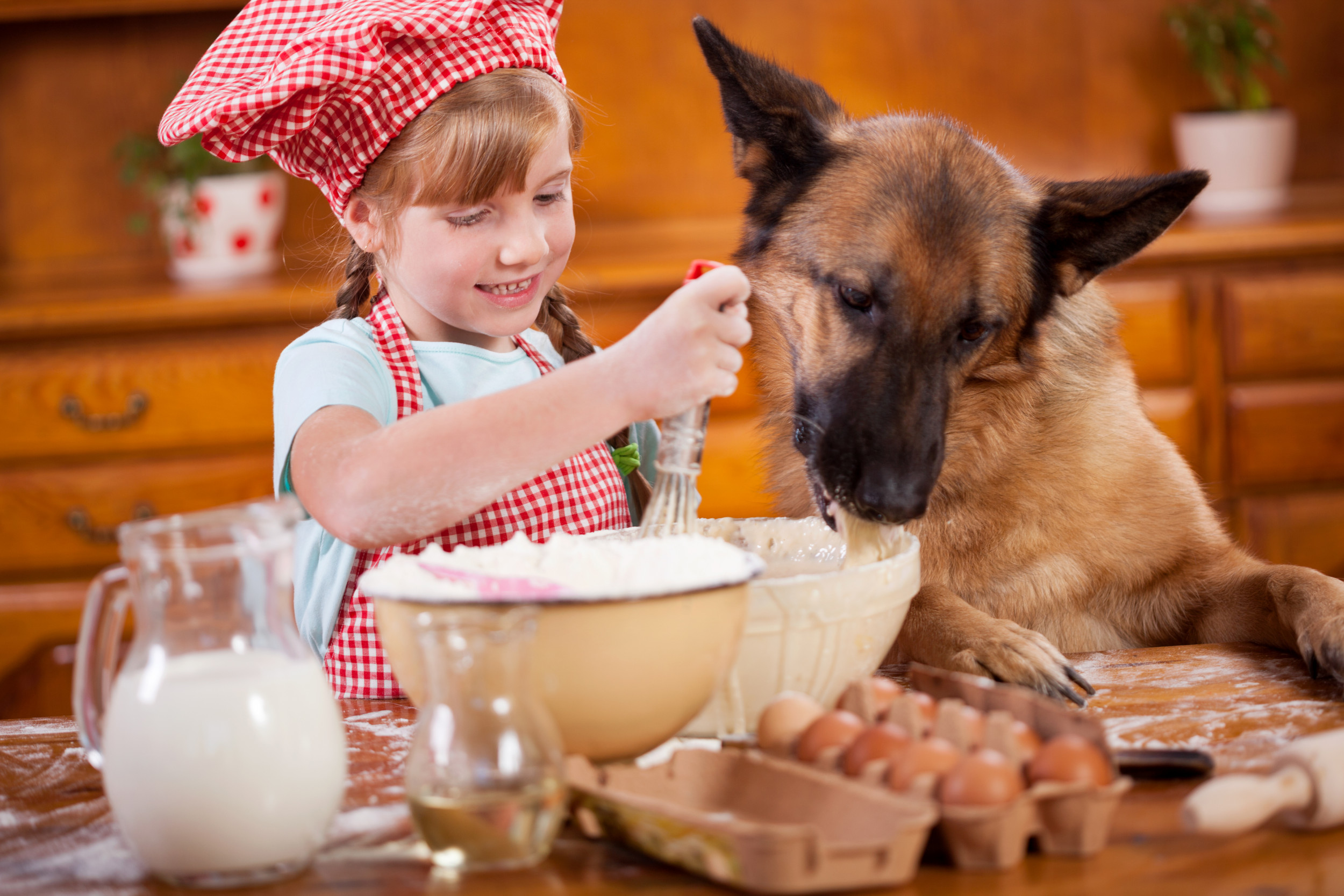 9-Year-Old Girl Opens ‘Barkery’ For Dog Treats to Raise Money For Local Animal Shelter