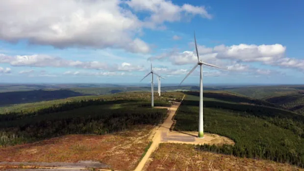New wind farm generates money and hope for Neqotkuk First Nation