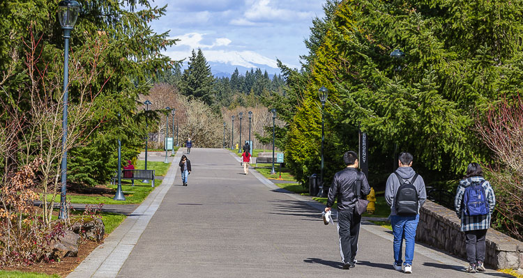 Students can get expert help filing for financial aid for college at WSU Vancouver