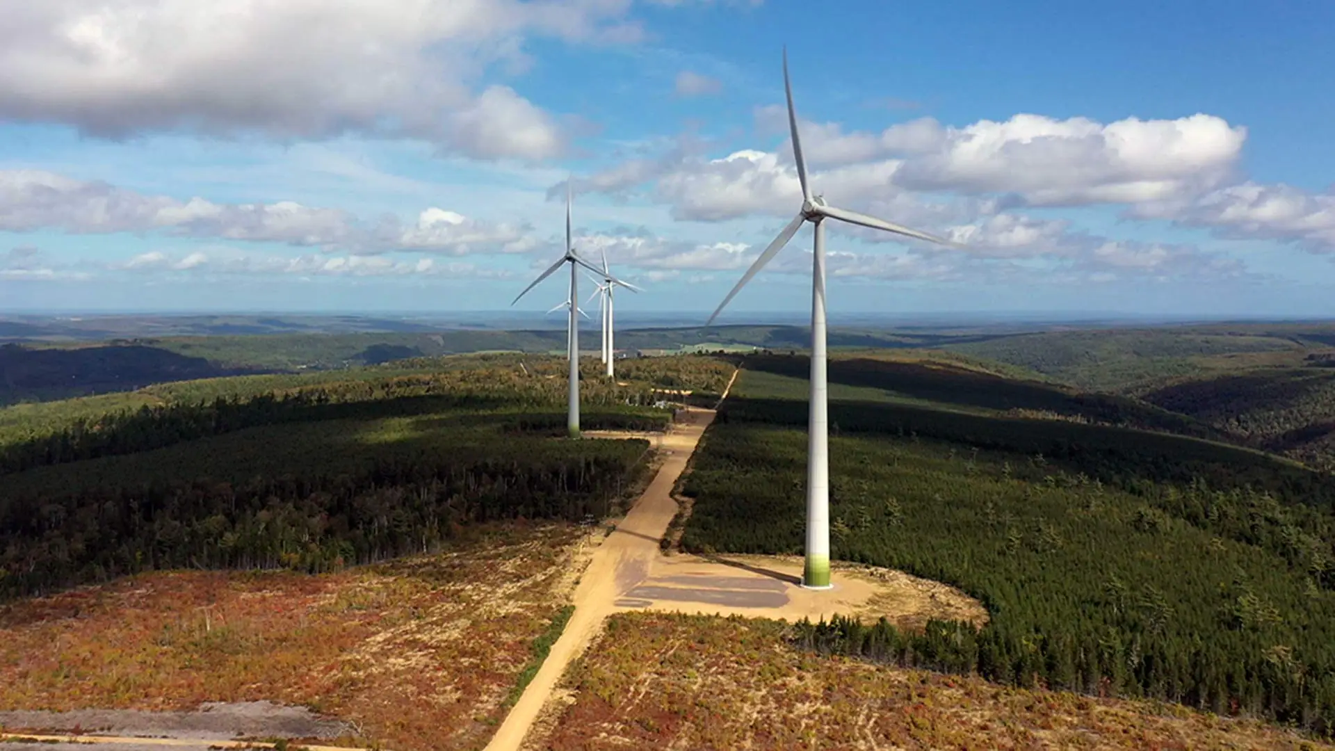 Wind farm generates money and hope for N.B. First Nation