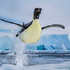 Visual storytelling raises money for environmental charities