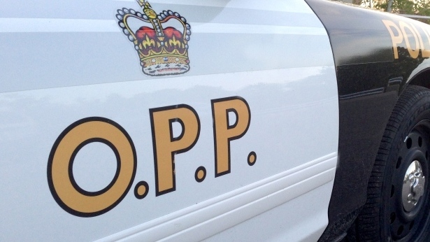 ‘Romance scam’ fraudster had more than 20 victims: Ontario police