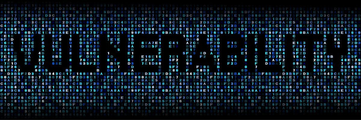Zero-days: The next element of the service-based cyber economy?