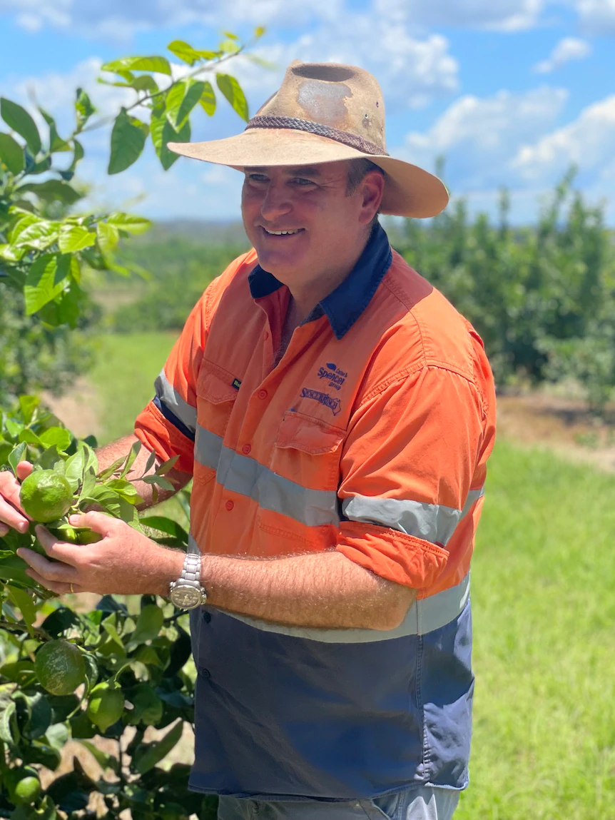 Queensland’s troubled Paradise Dam overflows but farmers’ water security is ‘short lived’