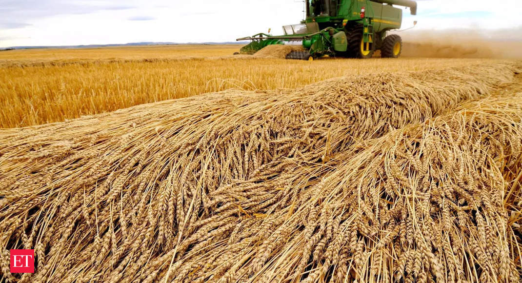 Food Security Scheme extended till March