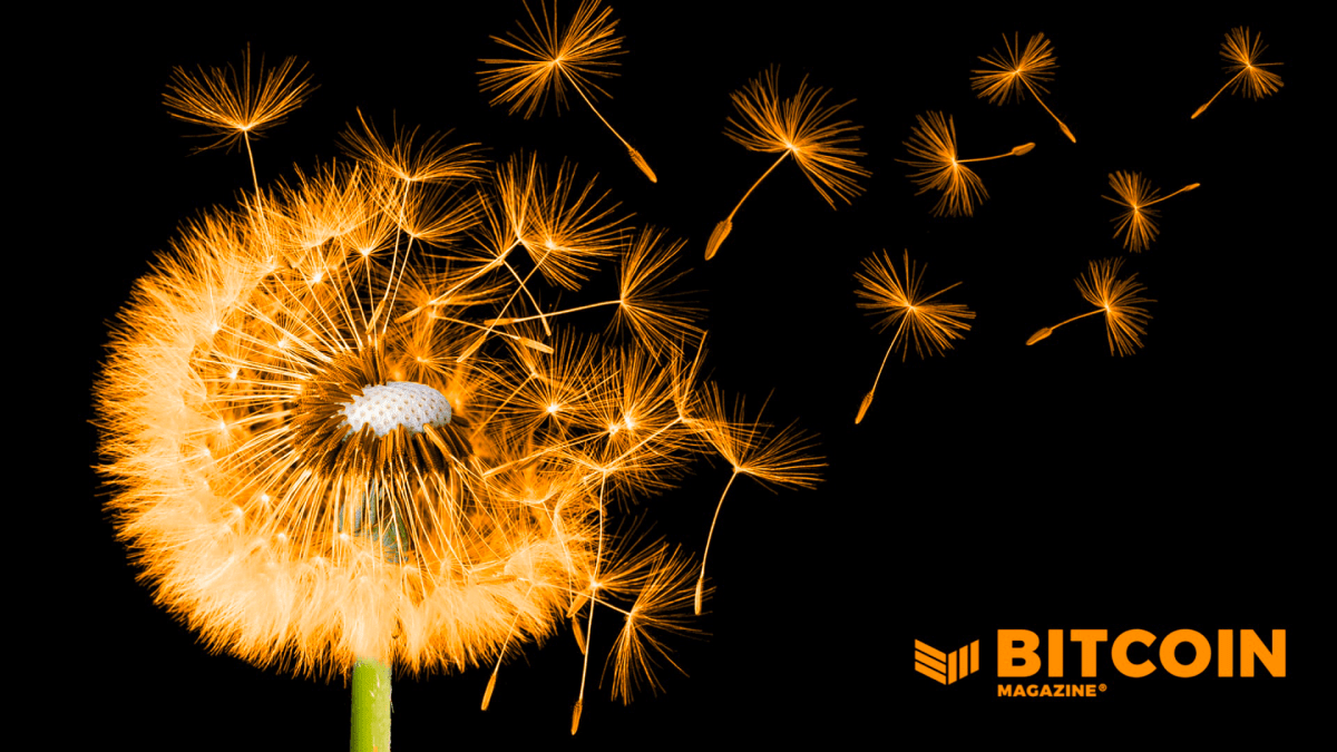 Bitcoin’s Stock To Universal Flow: How Lao Tzu Teachings Underscore Sound Money’s Value