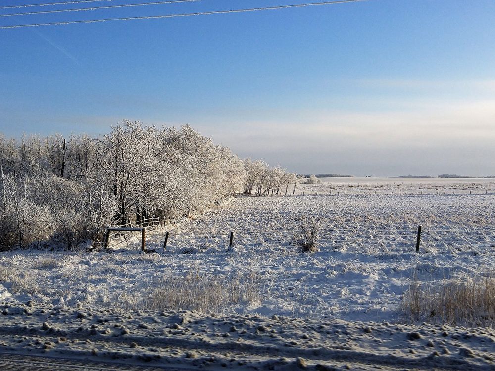 Agricultural regions remain dry heading into winter freeze up: Water Security Agency