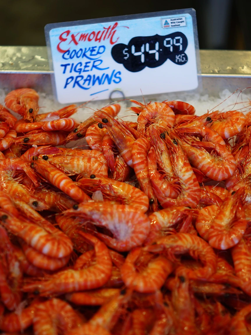Fight against seafood fraud has another gadget in its arsenal