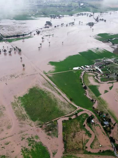 More financial support for NSW farmers who lost crops, livestock or infrastructure in floods