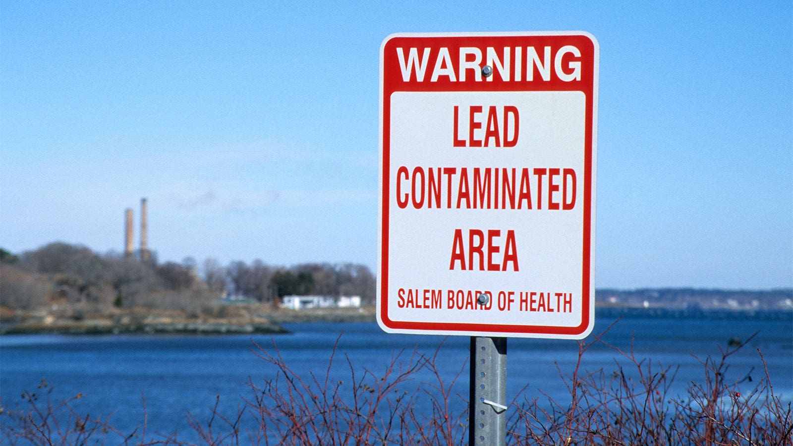 Lead Contamination Finally Sees the Money for Solutions