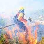 Businesses warned of scams asking for money on behalf of firefighters battling Kleinmond’s blaze