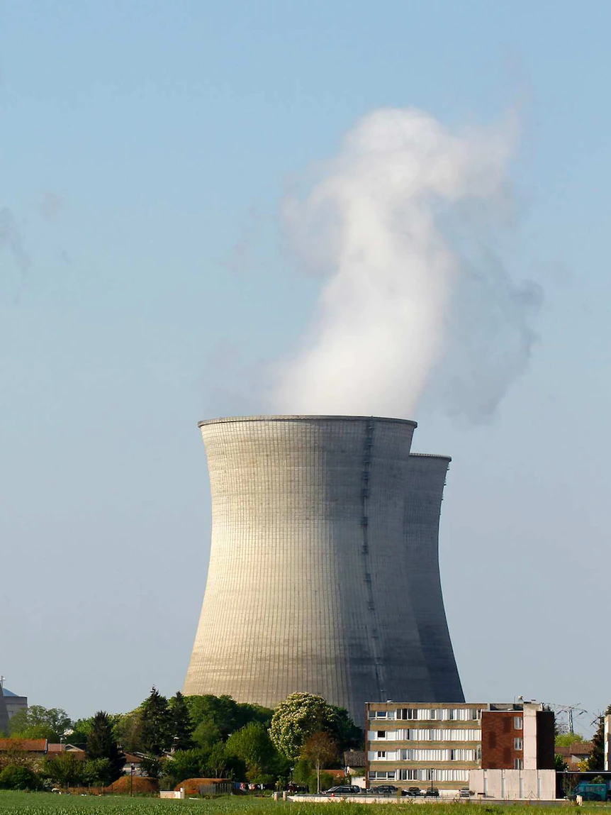 Is nuclear power the key to carbon neutrality – or a financial graveyard for all comers?