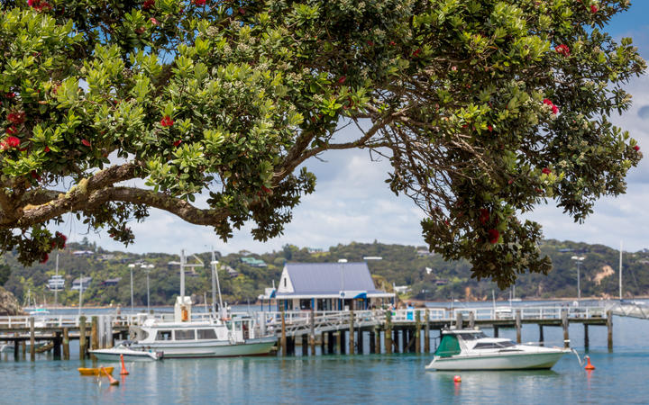 Fears Northland businesses will close without targeted financial support
