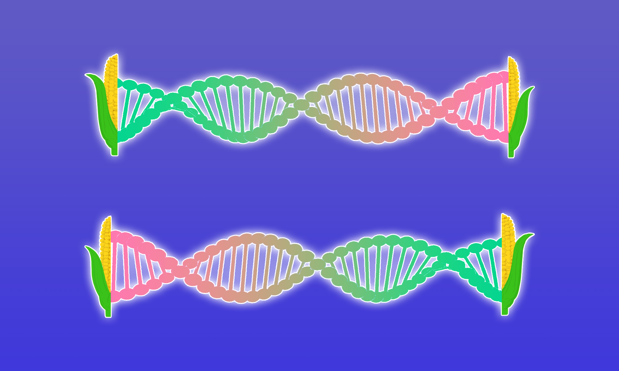 China moves forward with gene-edited crops to boost food security, decrease foreign dependence