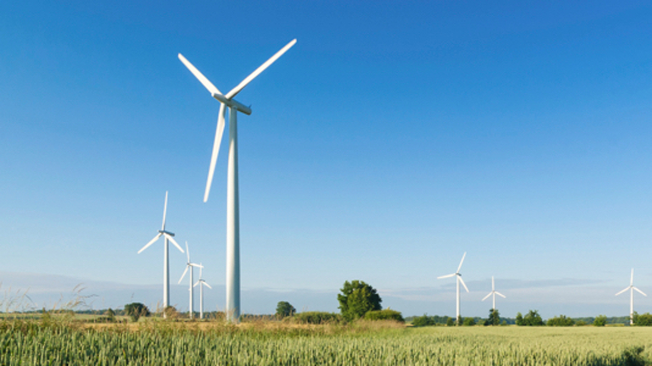 Greenlight Planet organized a webinar on overcoming financial barriers for renewable energy entrepreneurs