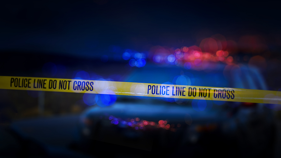 Retired NYC security guard killed, police searching for two suspects