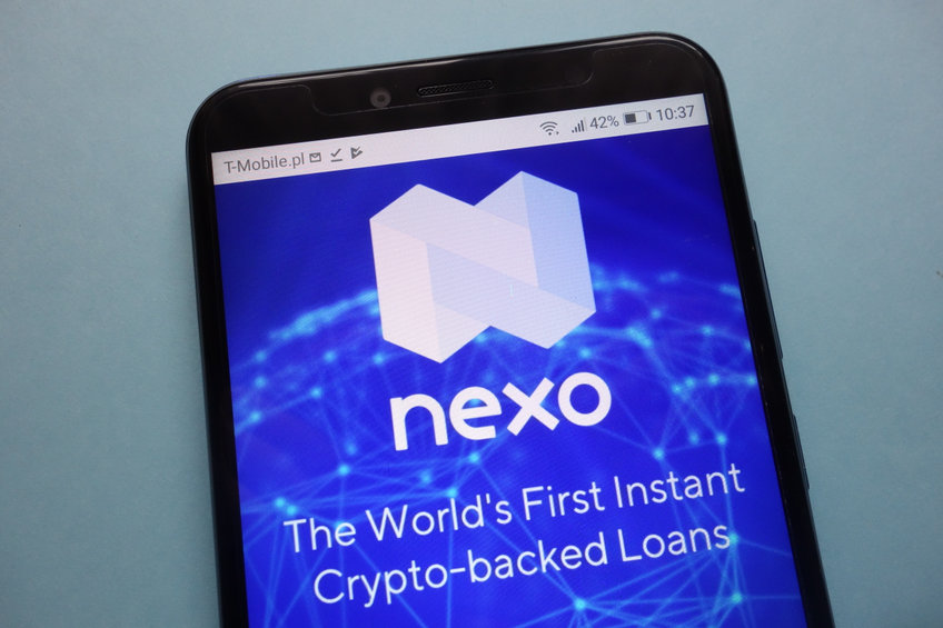 Nexo co-founder: “Cheap money” is here to stay and that’s ‘good for crypto’