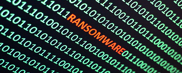 More than half of attacked Canadian firms paid cyber ransoms: Survey