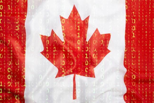 Canadian Netwalker ransomware crook pleads guilty to million-dollar crimes