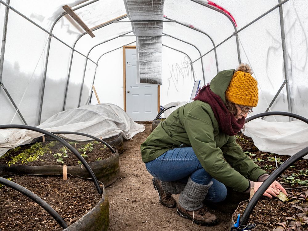 Montreal’s Carrefour Solidaire fights food insecurity from the ground up
