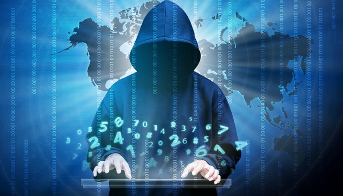 Cyber thief steals NFTs worth million of dollars