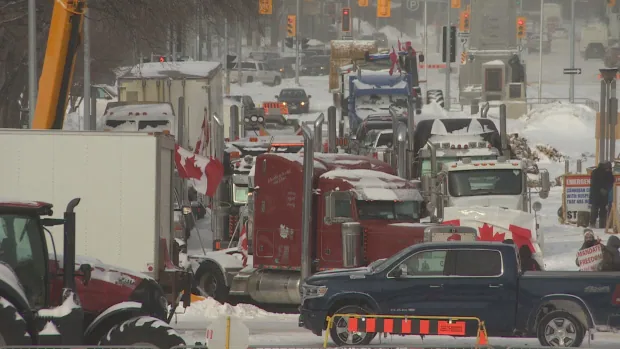 South Asian truckers say protest convoys didn’t resonate with them, caused financial losses