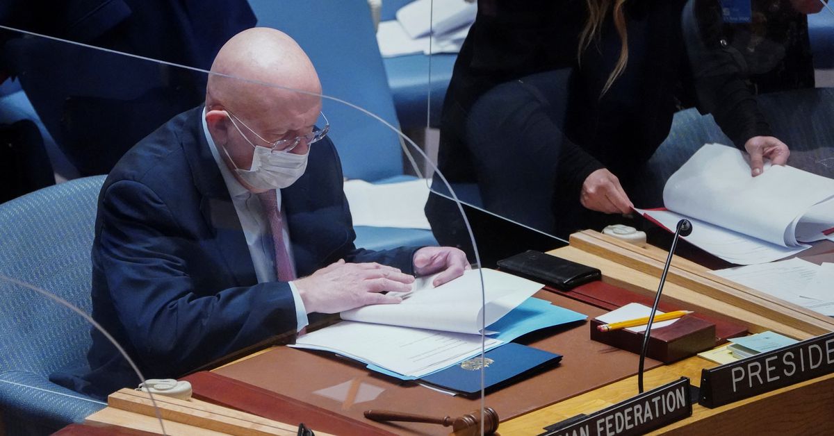 Russia vetoes U.N. Security action on Ukraine, China abstains