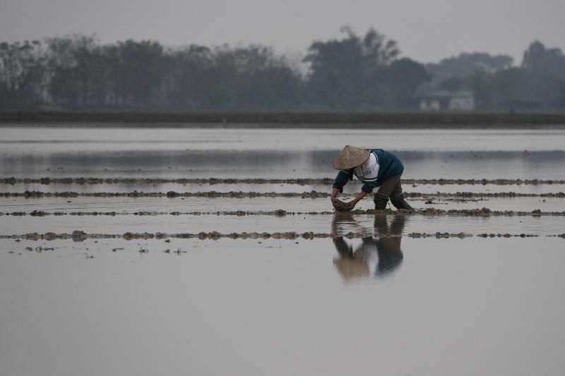 National food security unaffected by Russia-Ukraine conflict, says deputy minister