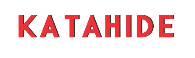 Katahide Hosts Digital Generation Financial Operations and Legislation Forum